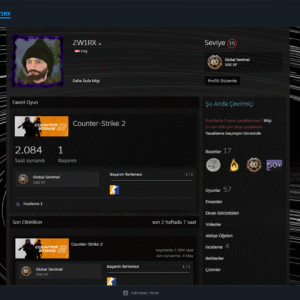 CS2 2K SAATLİ BOL OYUNLU STEAM HESABI